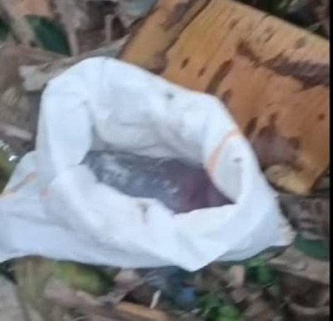Jasad Bayi dalam Karung di Lubang Buaya Jaktim, Dua Orang Dicurigai sebagai Pelaku