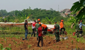 Pesawat Latih Terjatuh di Ciampea Bogor, Warga Sempat Lihat Terbang Miring