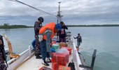 TNI AL Gagalkan Upaya Penyelundupan 1.580 Bungkus Rokok Ilegal di Wilayah Perairan Selat Laut Kotabaru
