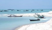 LBH Muhammadiyah Desak Pemerintah Cabut Seluruh Izin Tambang Laut dan Stop Total Eksploitasi Pasir Laut